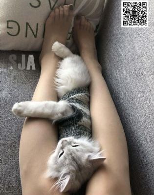甜蜜惩罚我_BD韩语免费电视剧