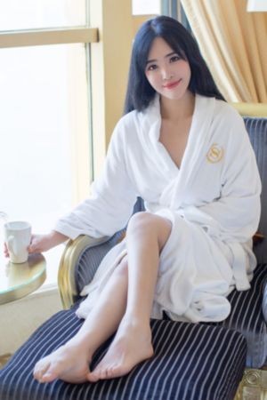 这就是铁甲_DVD免费高清观看
