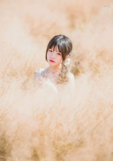 贪婪欲望之岛在线观看_4K免费在线播放