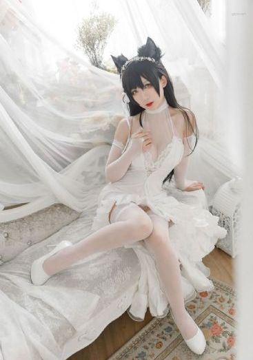 将婚姻进行到底电视剧免费_1080免费在线观看