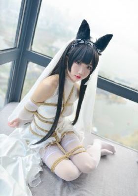 电视连续剧大全部免费_1080P在线手机播放
